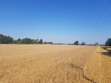 Pylon - Layham